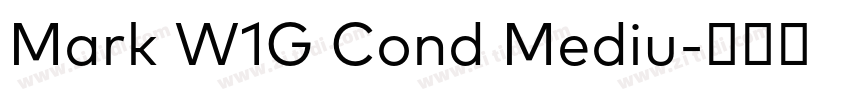 Mark W1G Cond Mediu字体转换